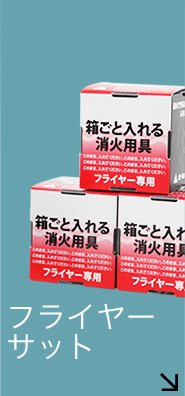 フライヤーサット